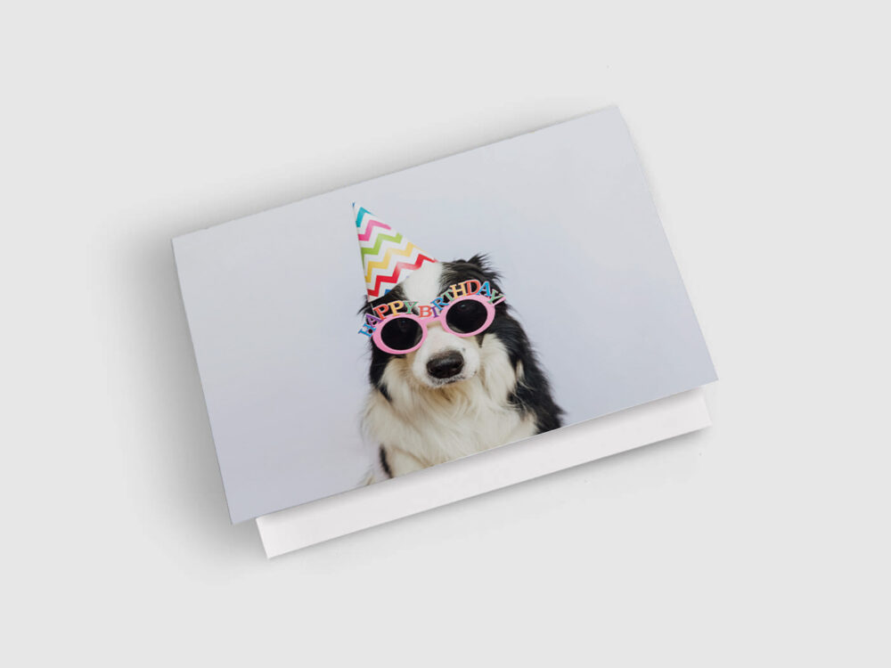 Birthday Card: Dog Sunnies