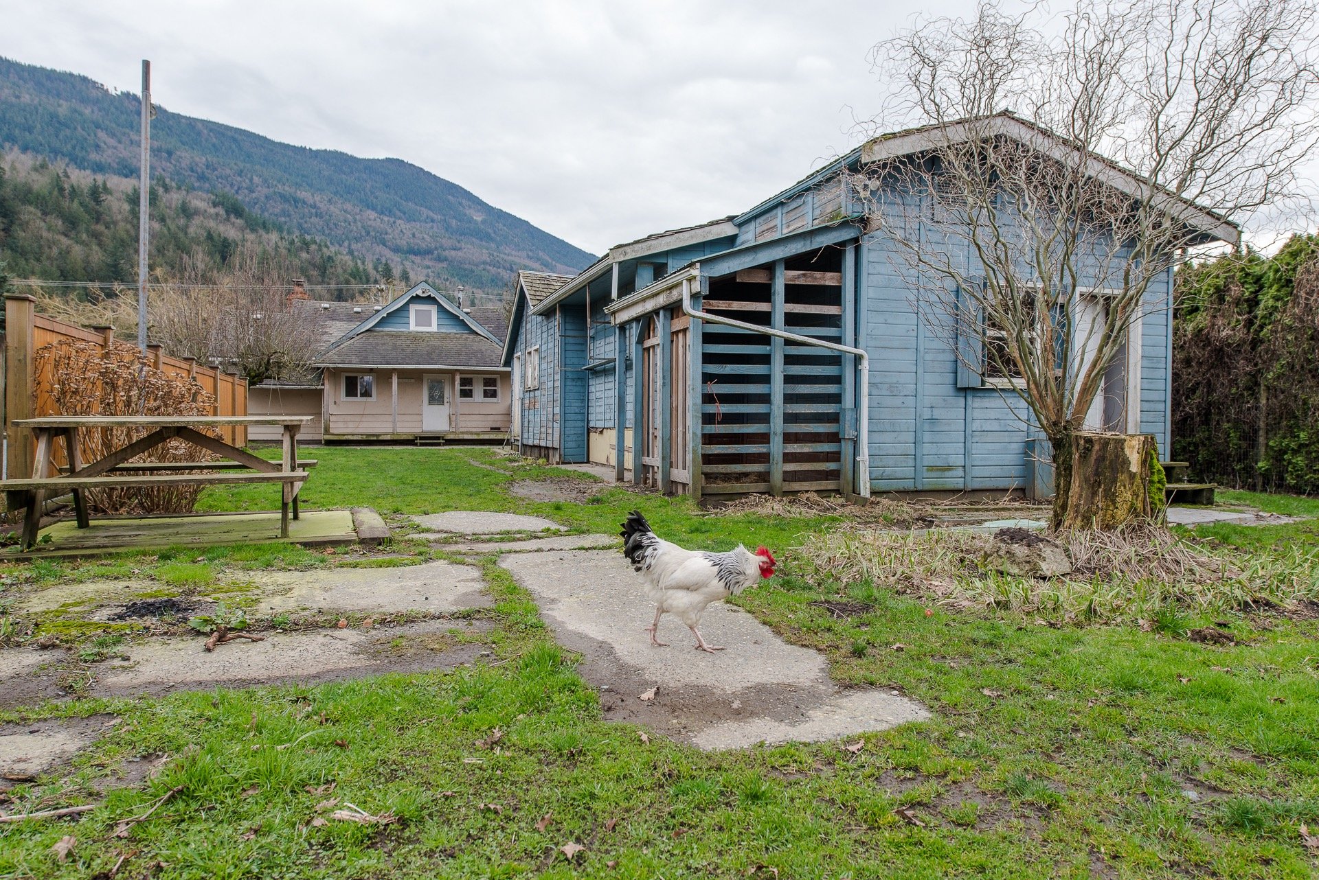 42739 Yarrow Central Road, Chilliwack