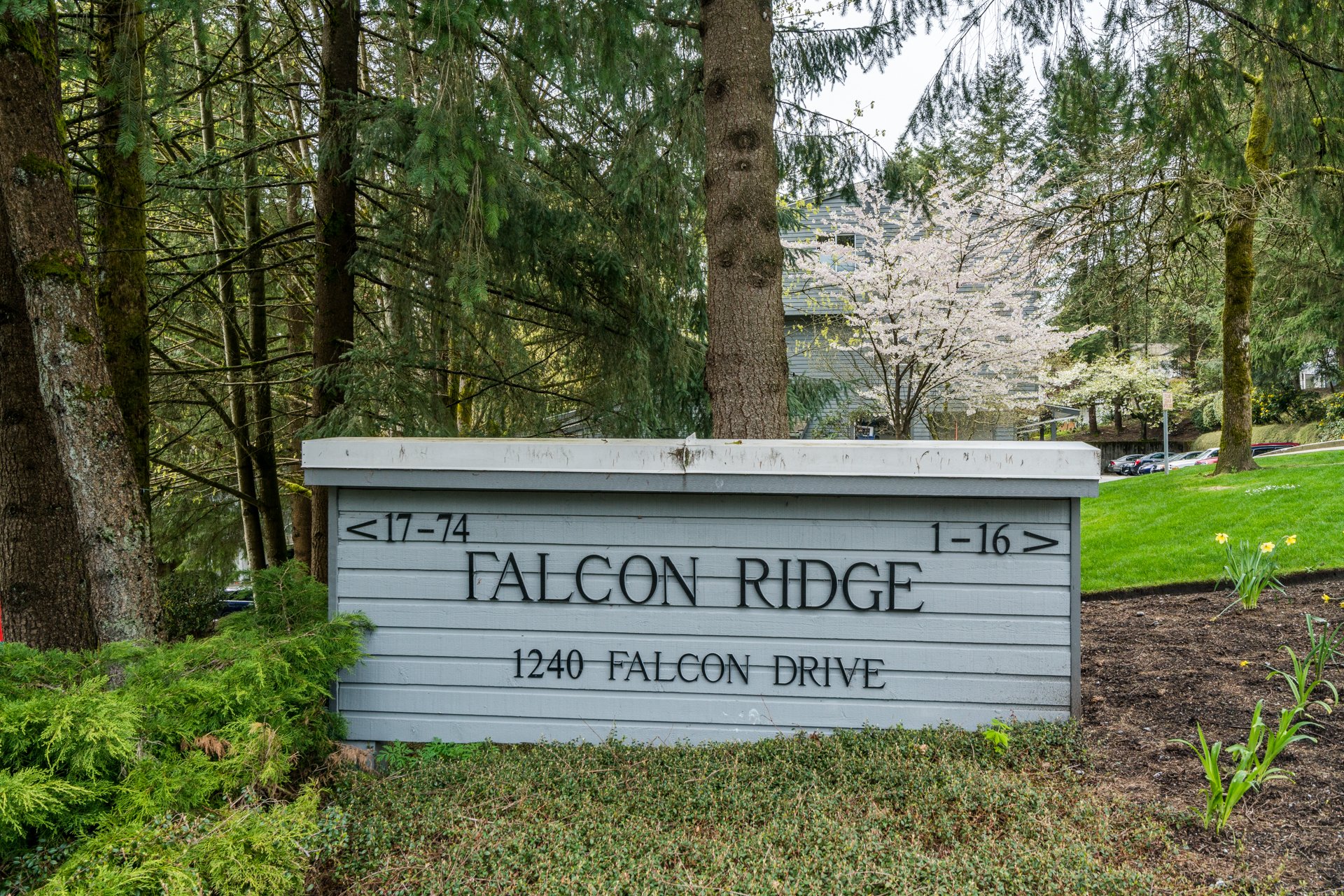 37 - 1240 Falcon Drive, Coquitlam