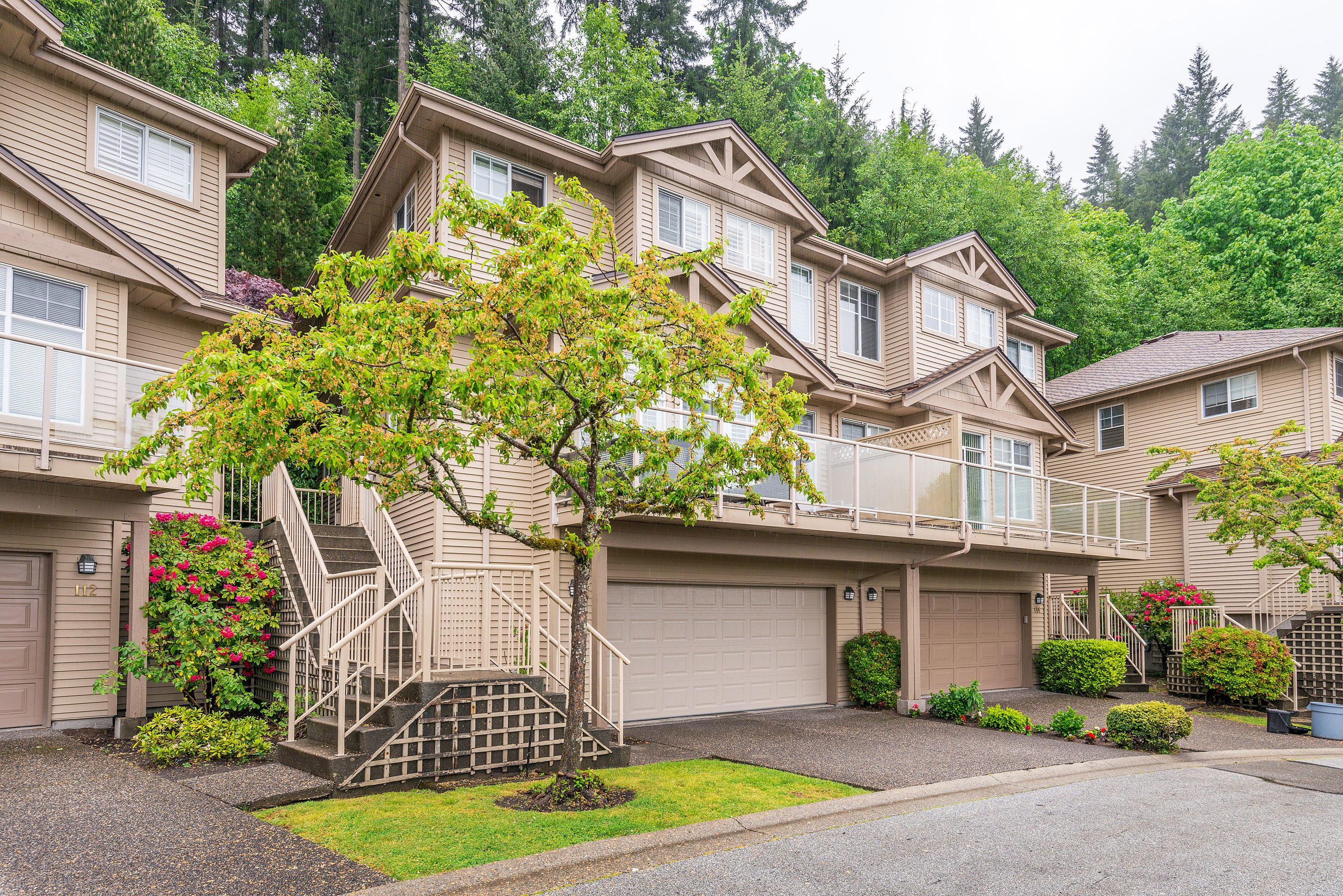 113 - 2979 Panorama Drive, Coquitlam