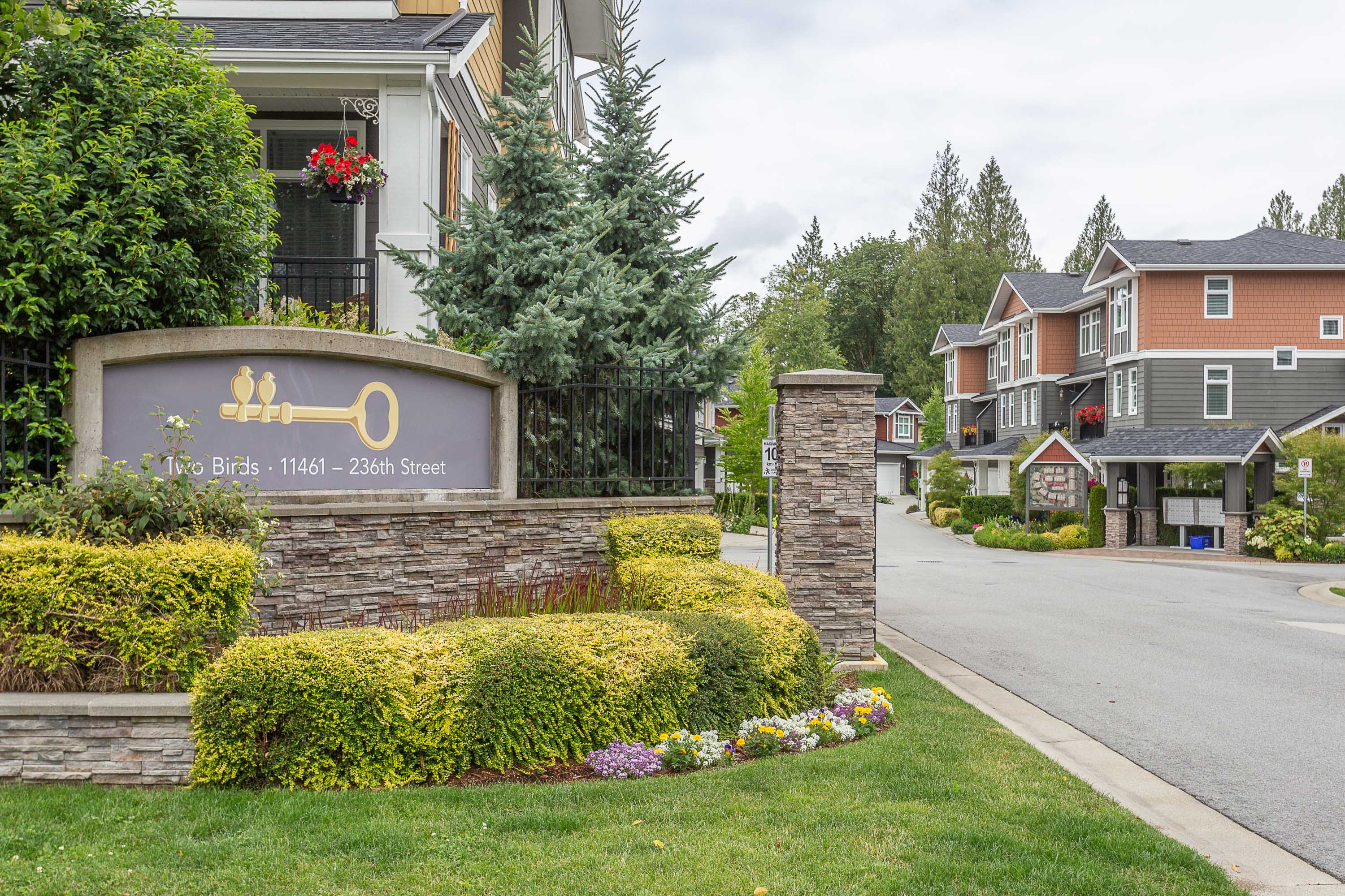 16 - 11461 236 Street, Maple Ridge