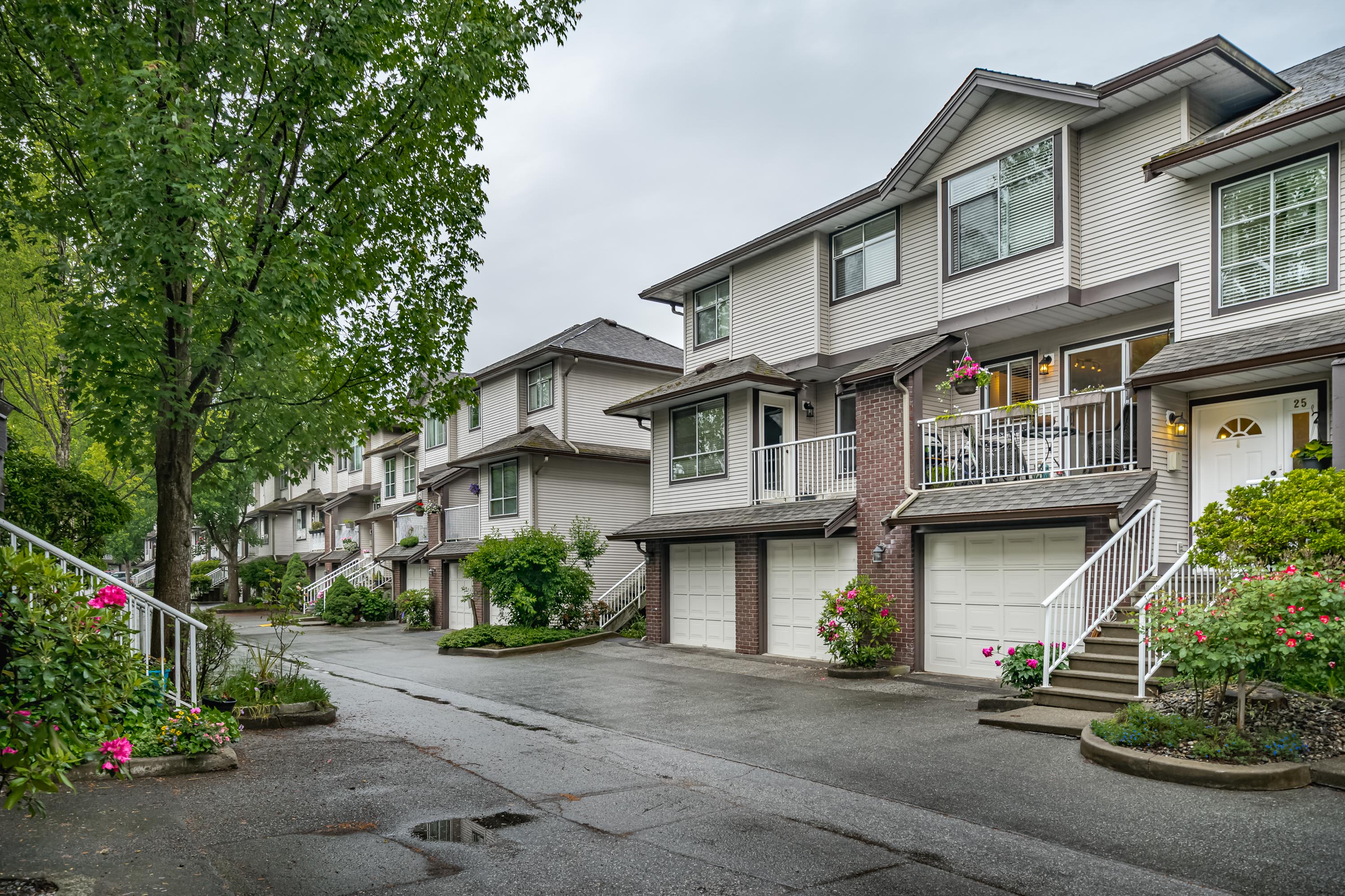 25 2450 Lobb Avenue Port Coquitlam MLS R2461027 Cotala Cross Media 25-2450-lobb-avenue-port-coquitlam-mls-r2461027-cotala-cross-media