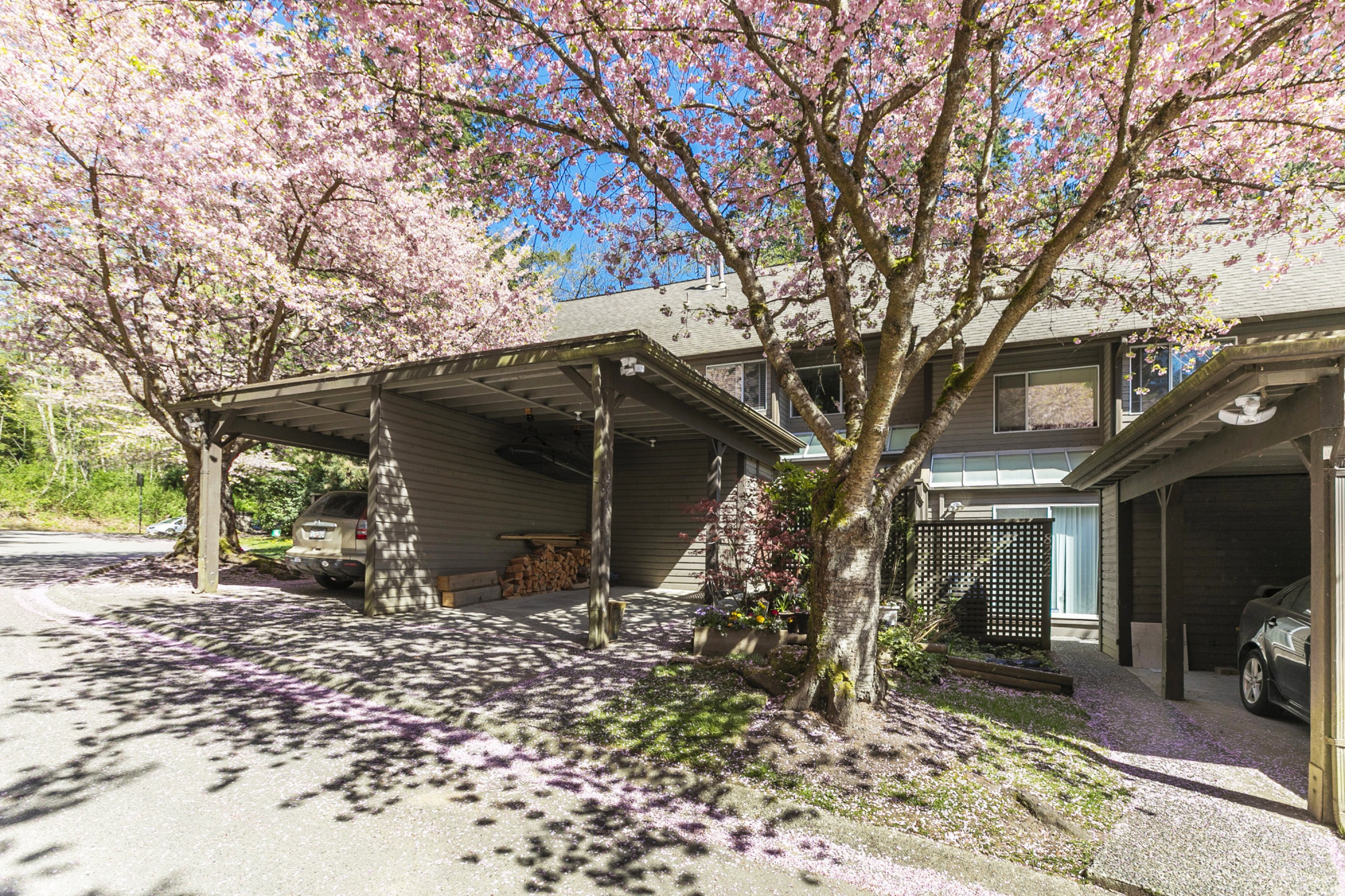 8224 Forest Grove Drive, Burnaby