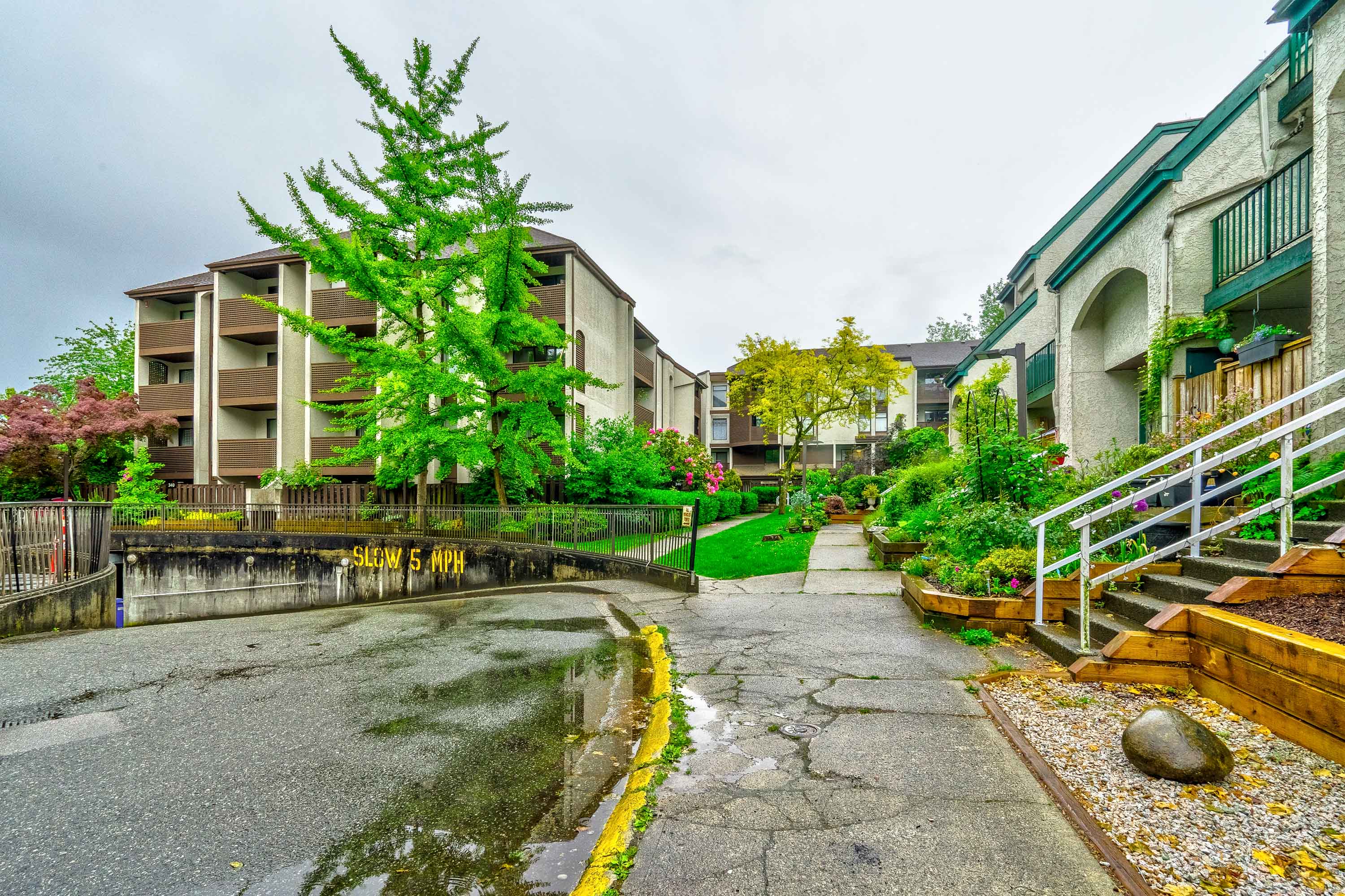 402 - 340 Ginger Drive, New Westminster