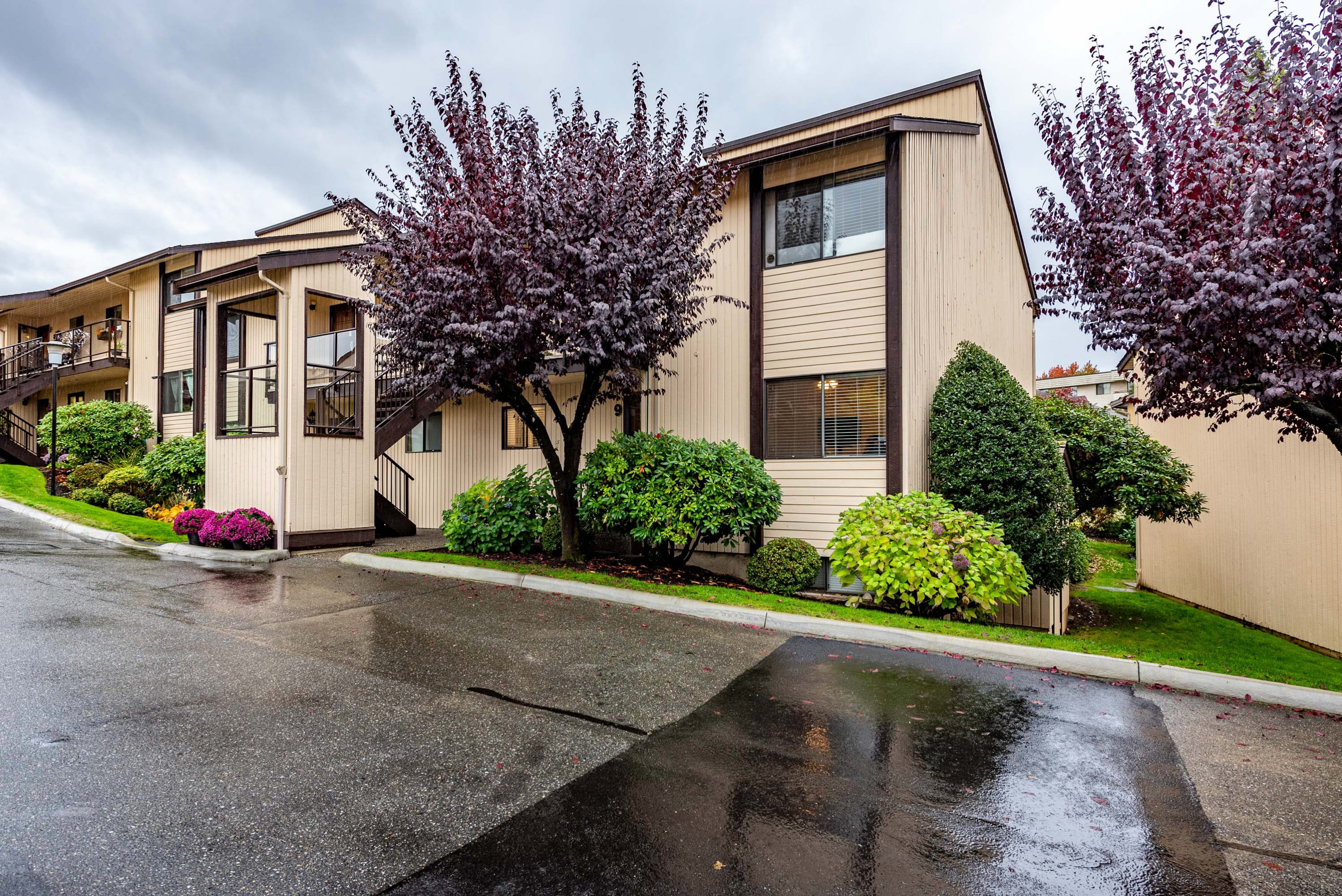 9 - 2962 Nelson Place, Abbotsford