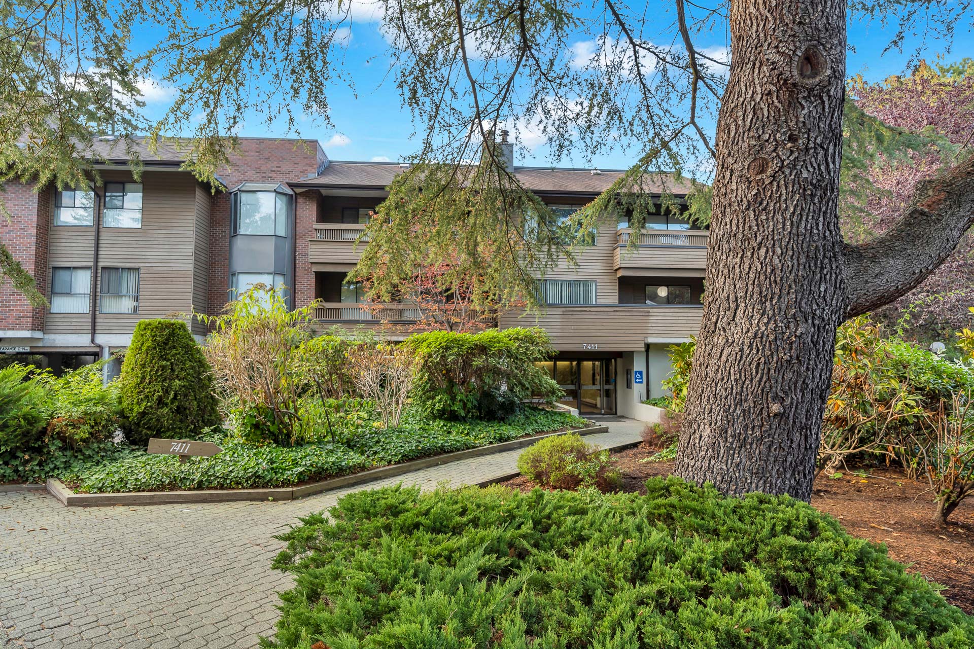 306 - 7411 Minoru Blvd, Richmond