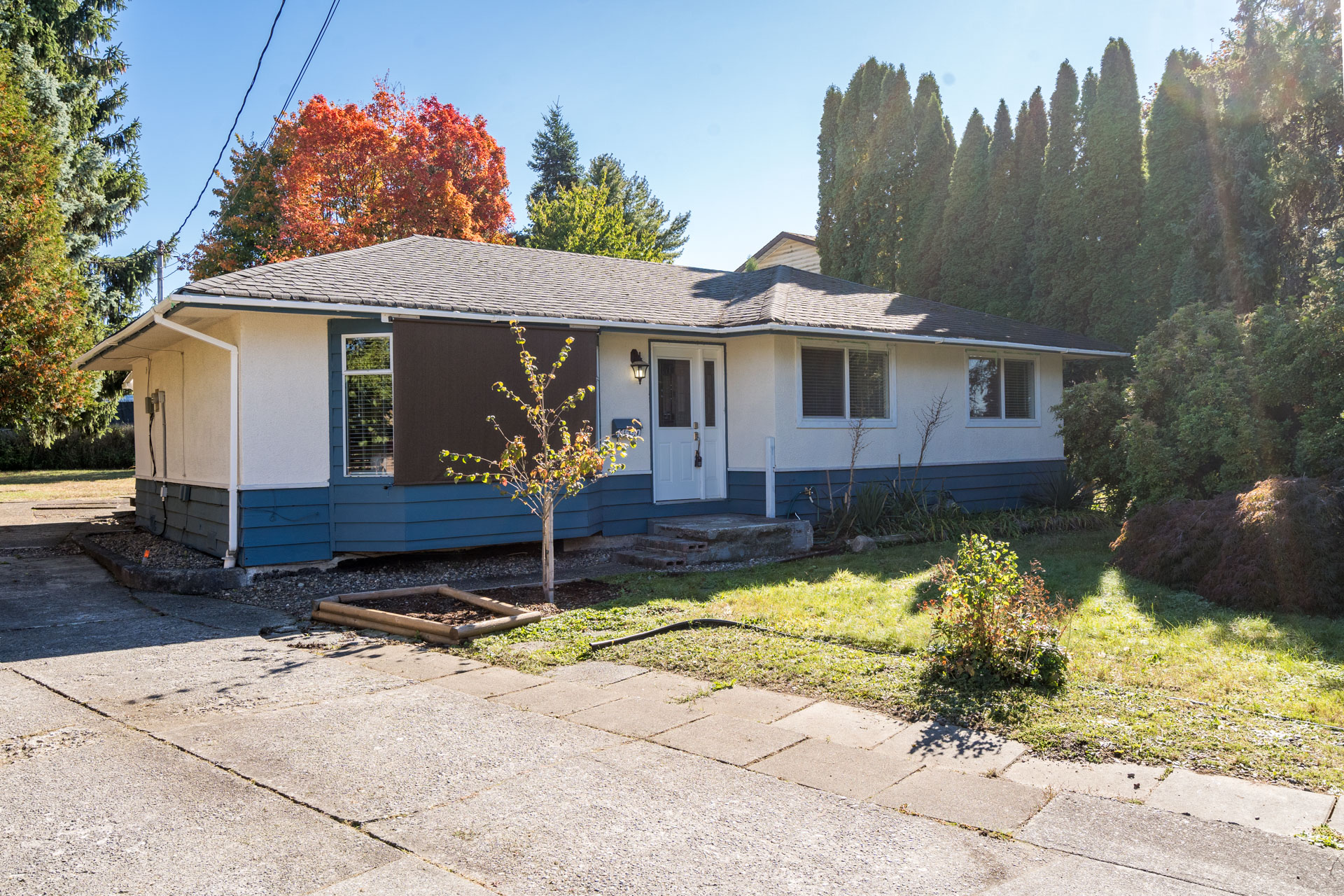 11590 203 Street, Maple Ridge