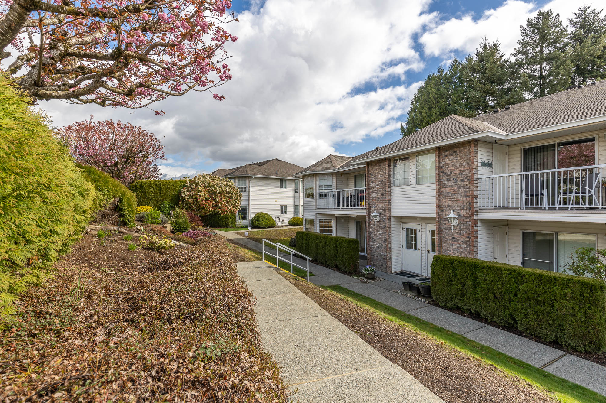 35 - 2938 Trafalgar Street, Abbotsford