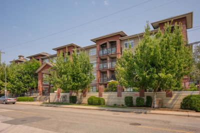 Virtual tour for Terry Wong