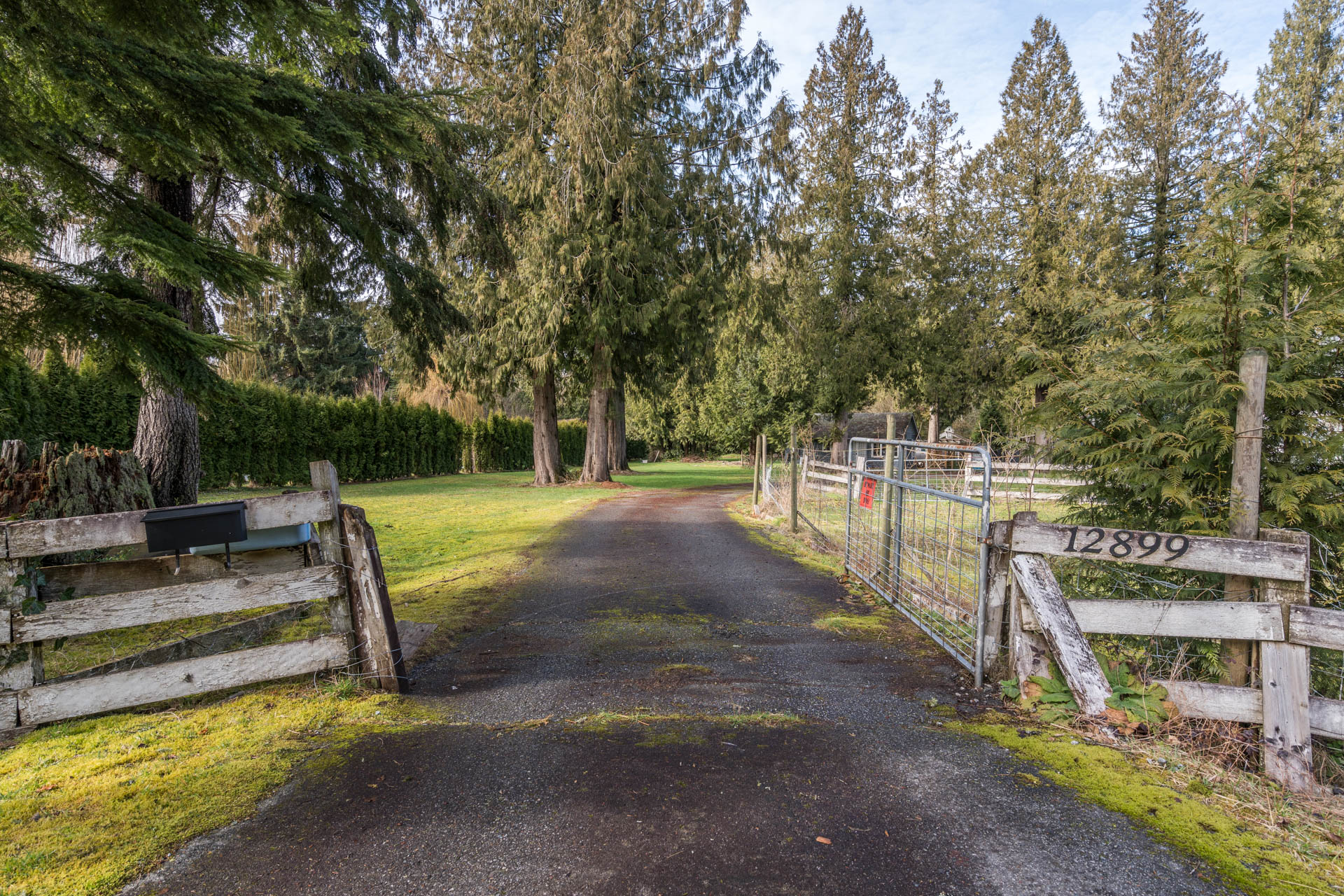 12899 230 Street, Maple Ridge
