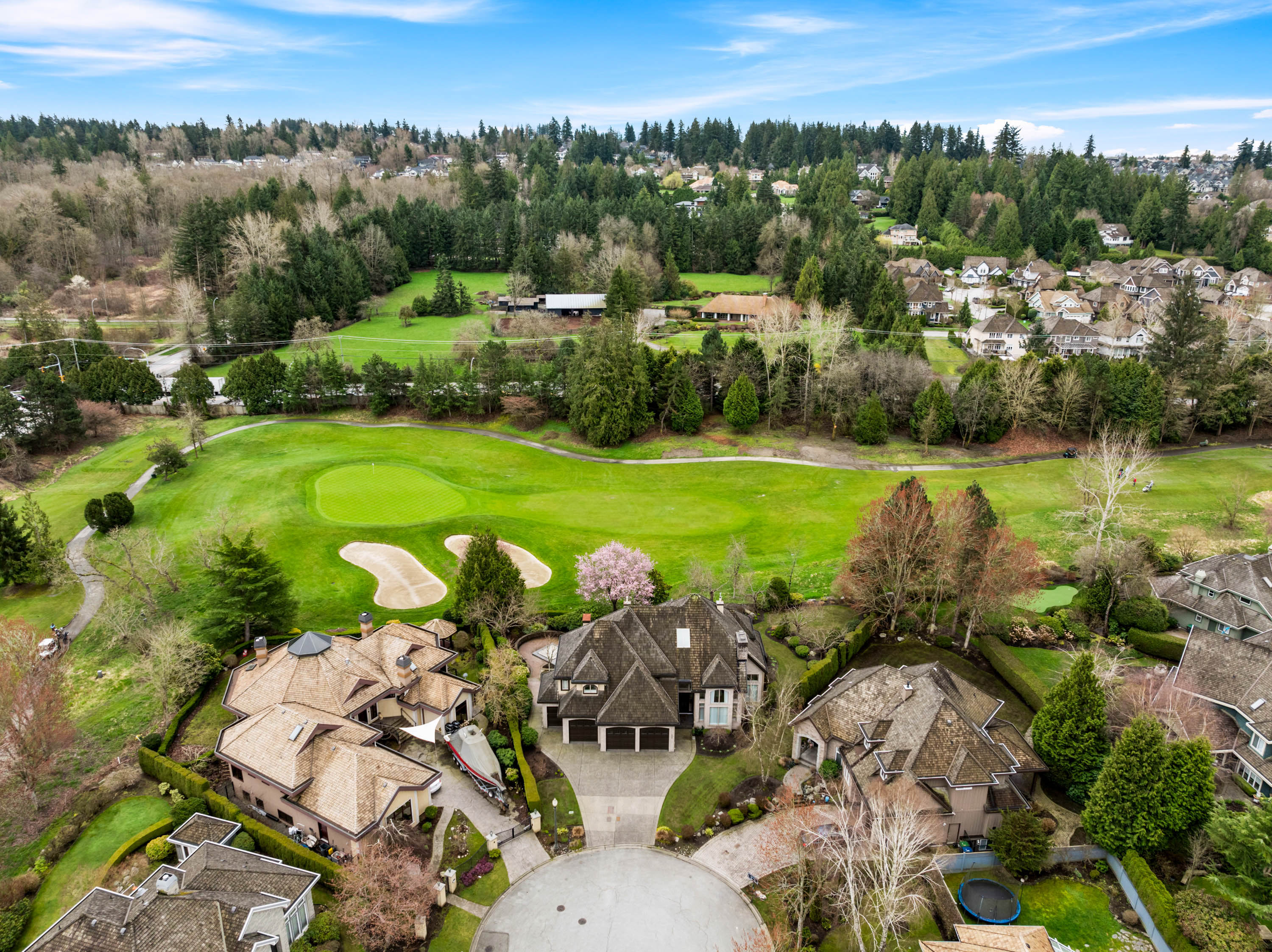 16358 Lincoln Woods Court, Surrey