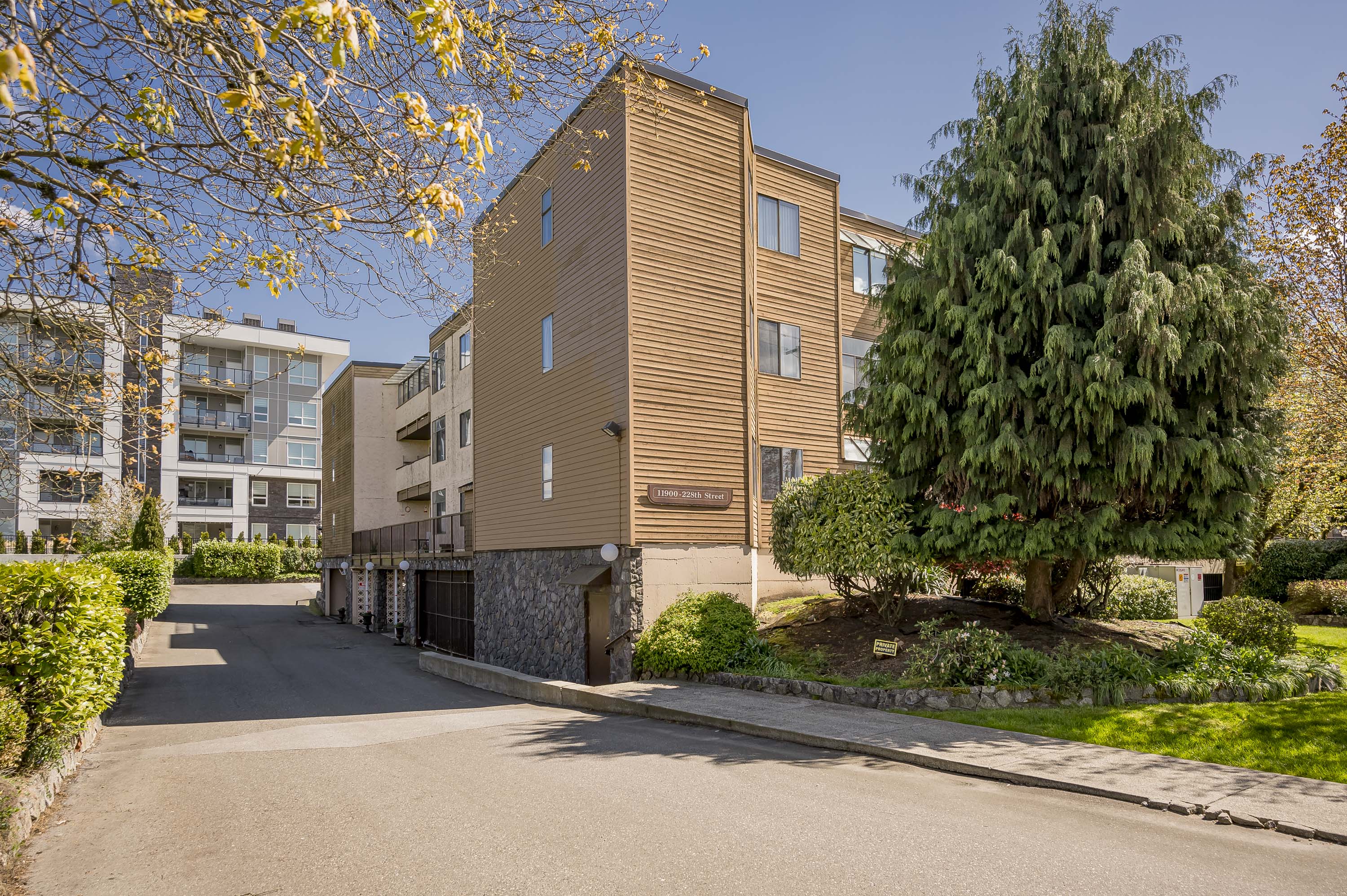 32 - 11900 228 Street, Maple Ridge