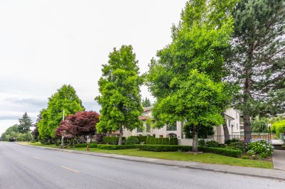 Virtual tour for Dan Cook