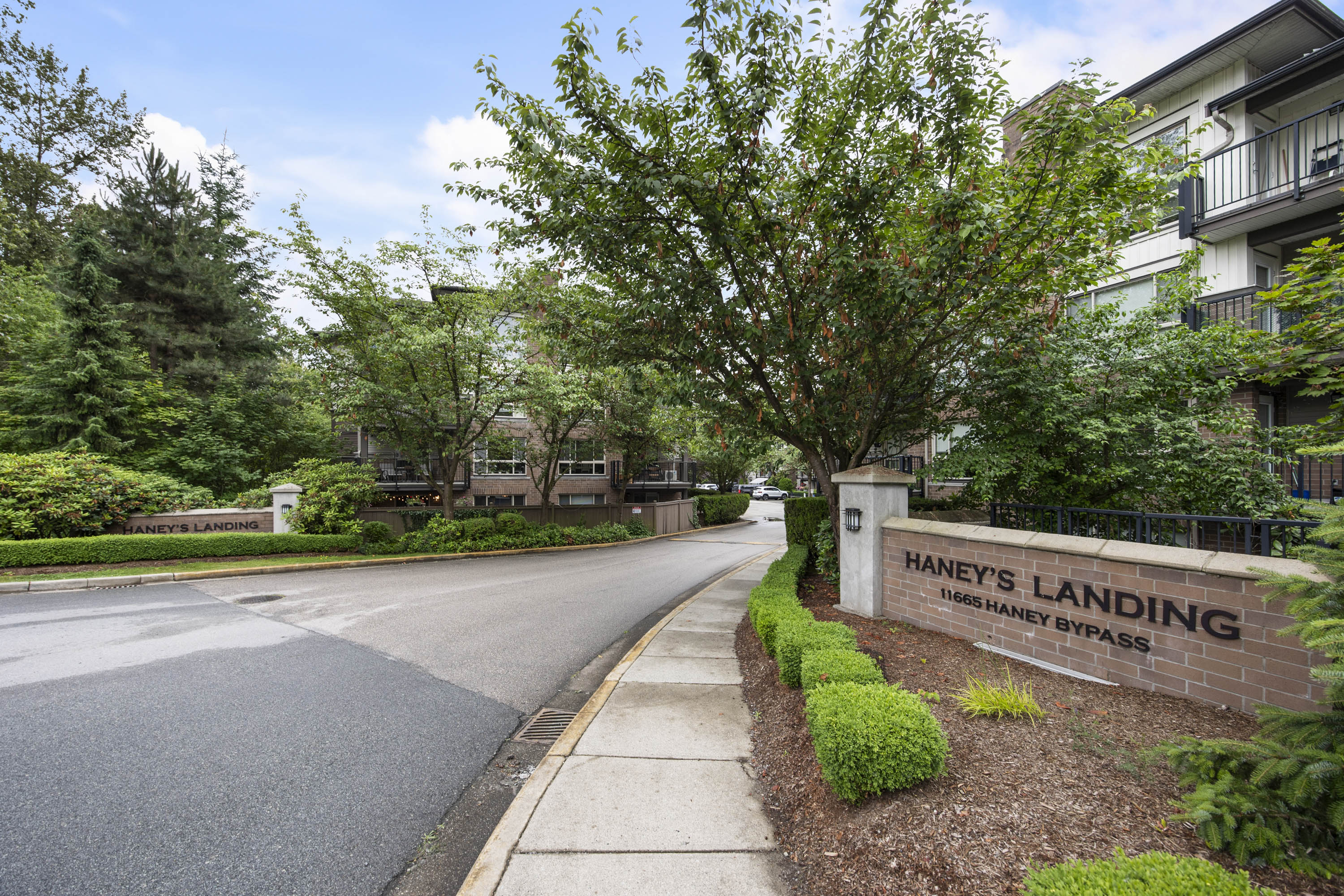 102 - 11667 Haney Bypass, Maple Ridge