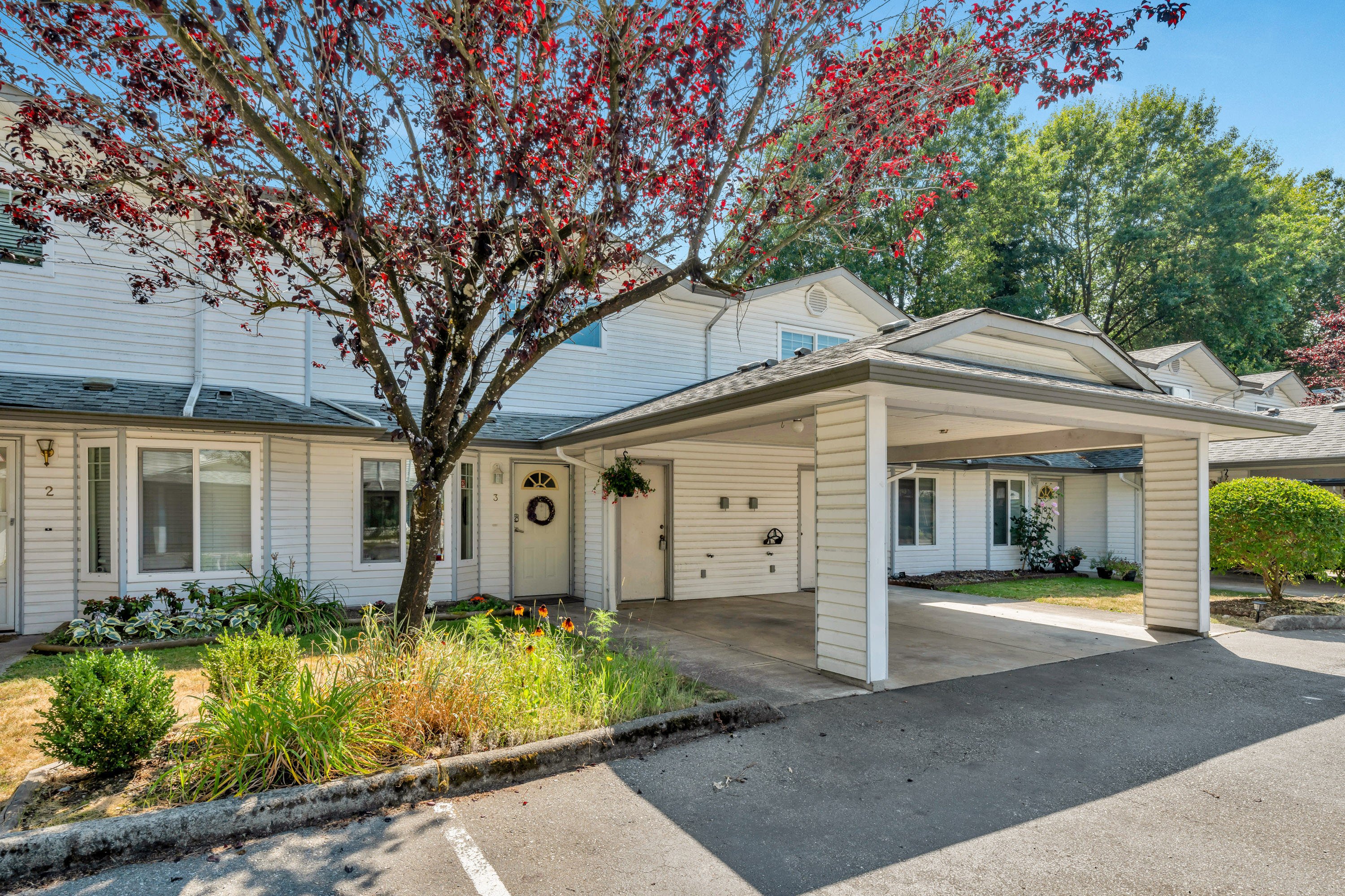 3 - 11757 207 Street, Maple Ridge