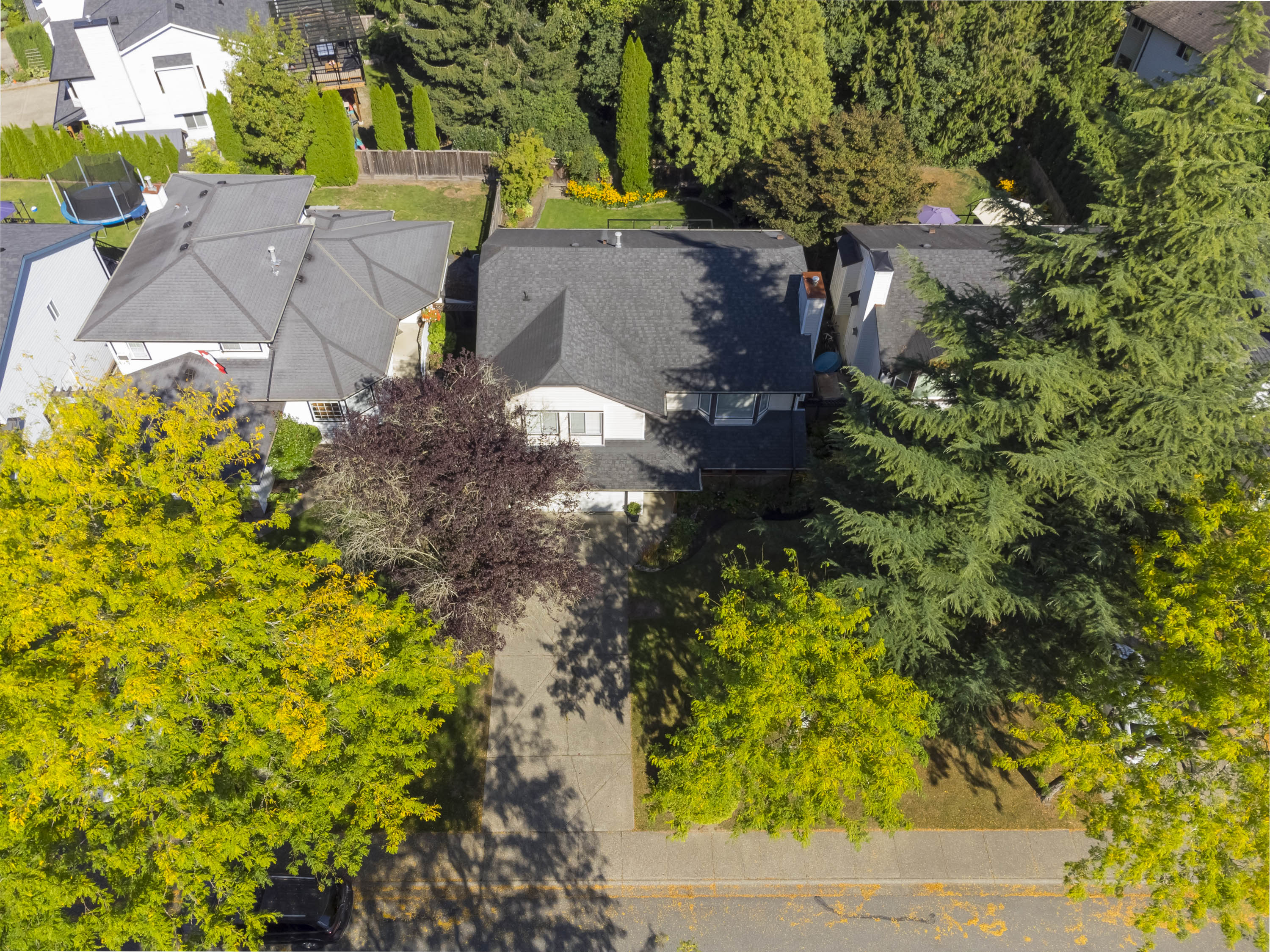 8882 214B Street, Langley