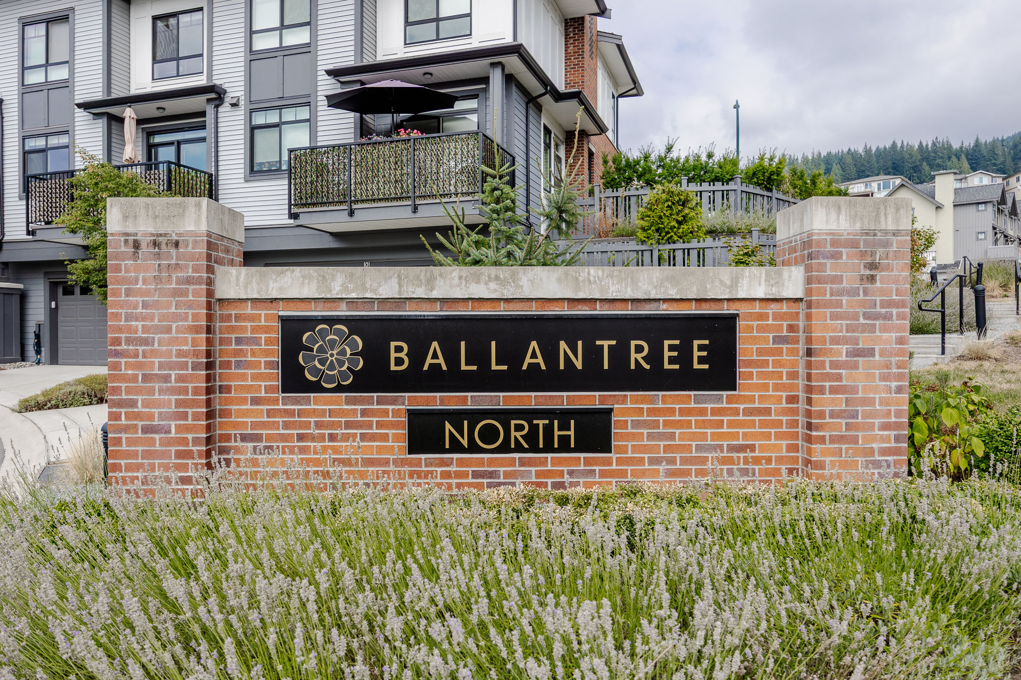 141 - 1360 Mitchell Street, Coquitlam