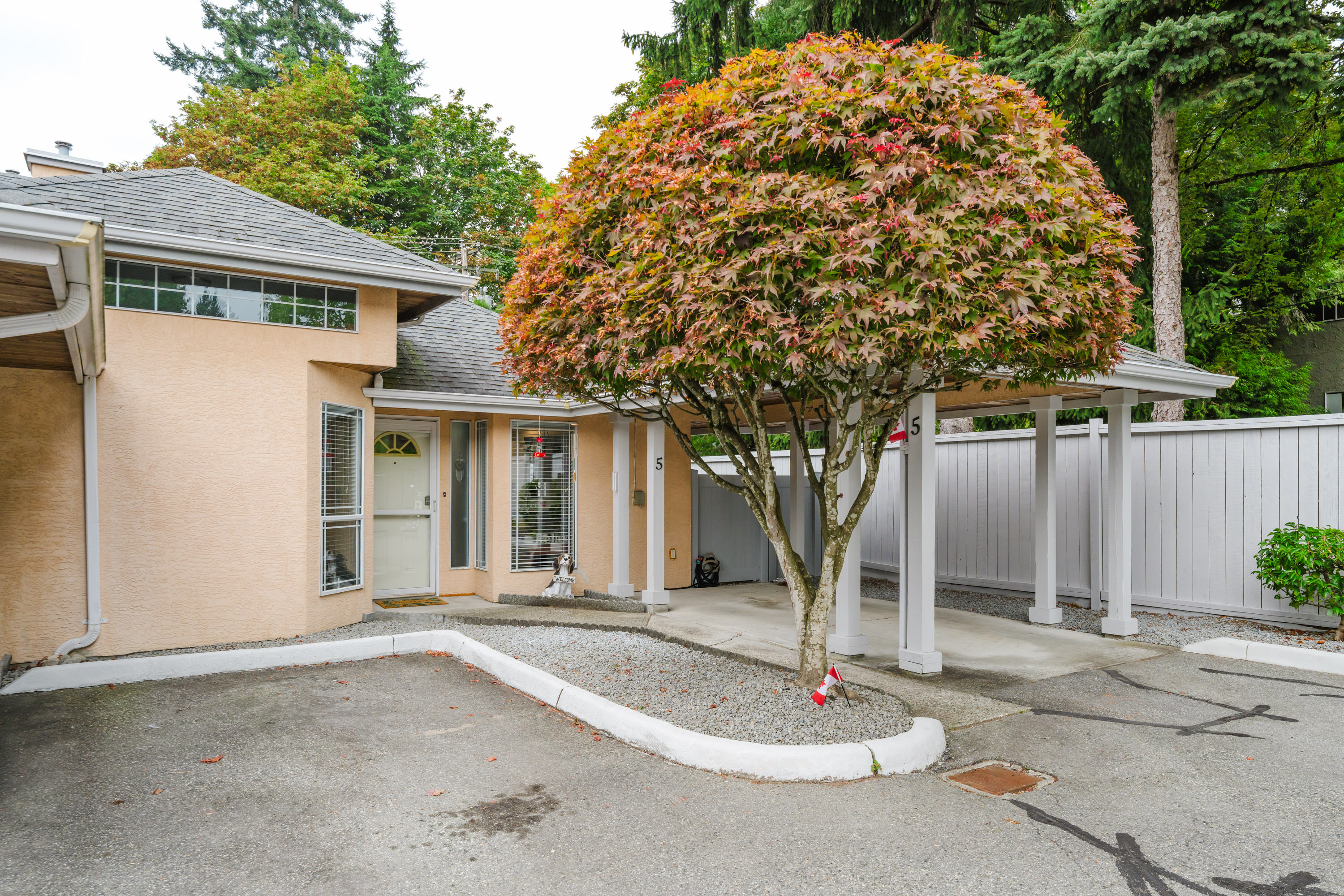 5 - 11950 Laity Street, Maple Ridge