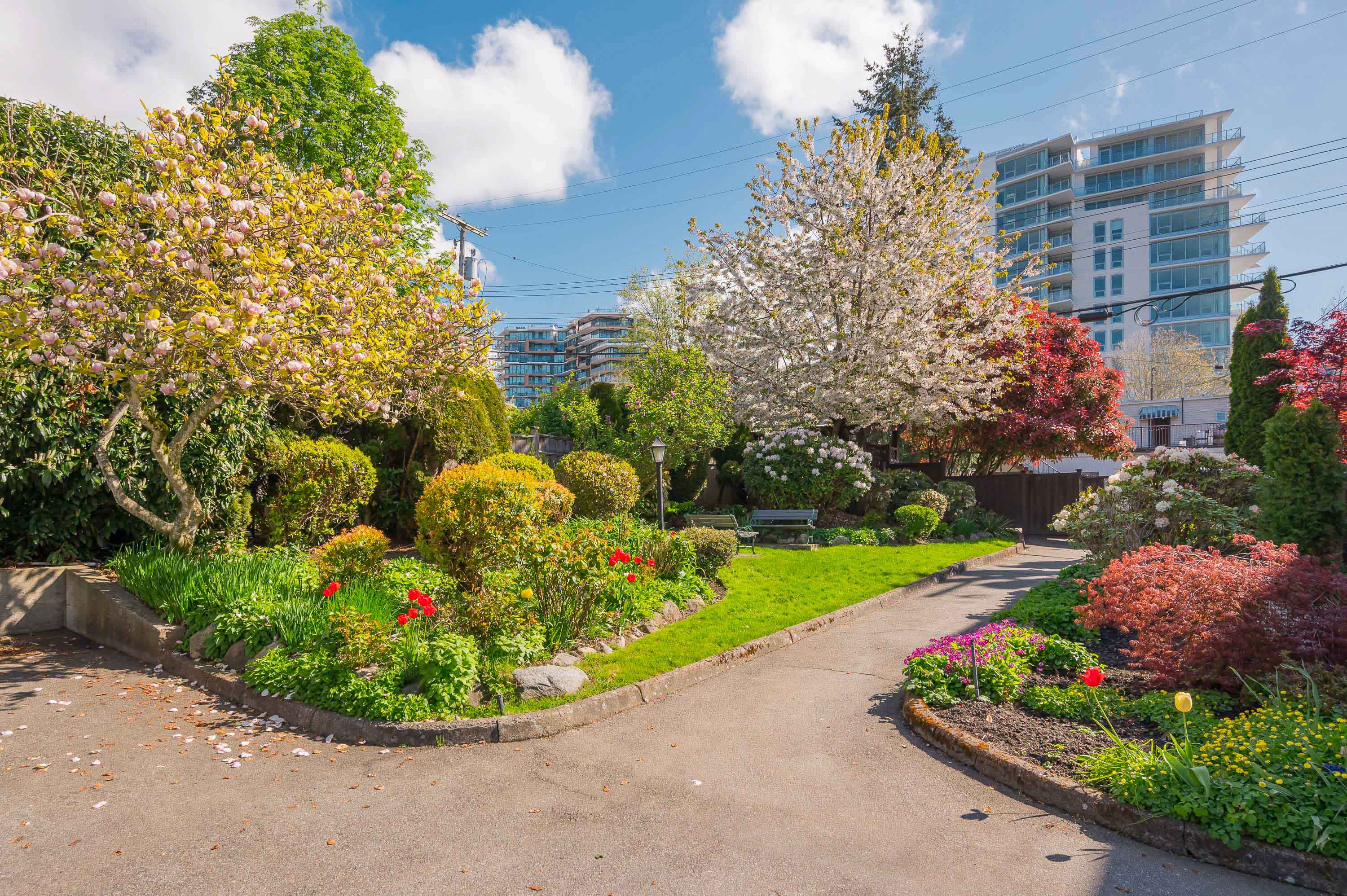 210 - 1354 Winter Street, White Rock