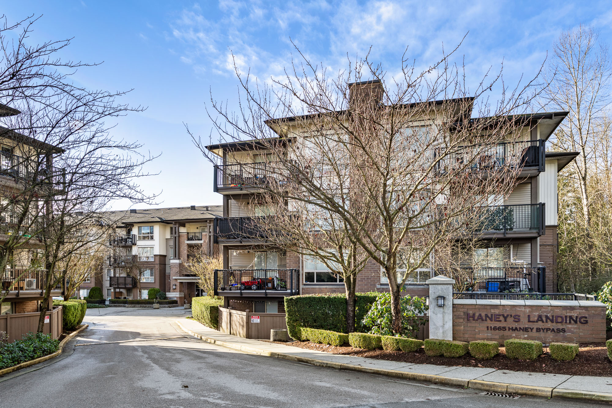 215 - 11665 Haney Bypass, Maple Ridge