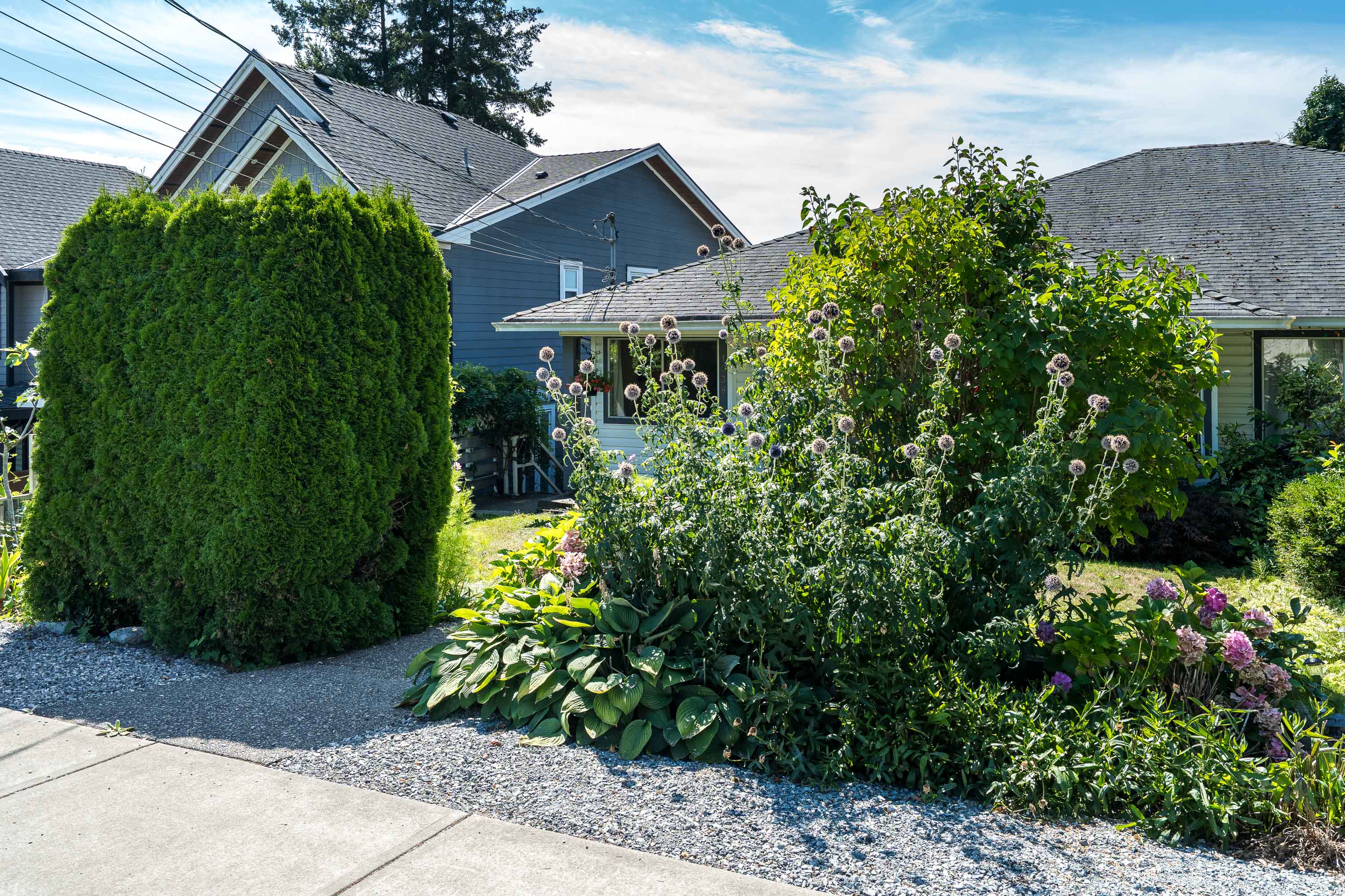 1038 Walls Avenue, Coquitlam