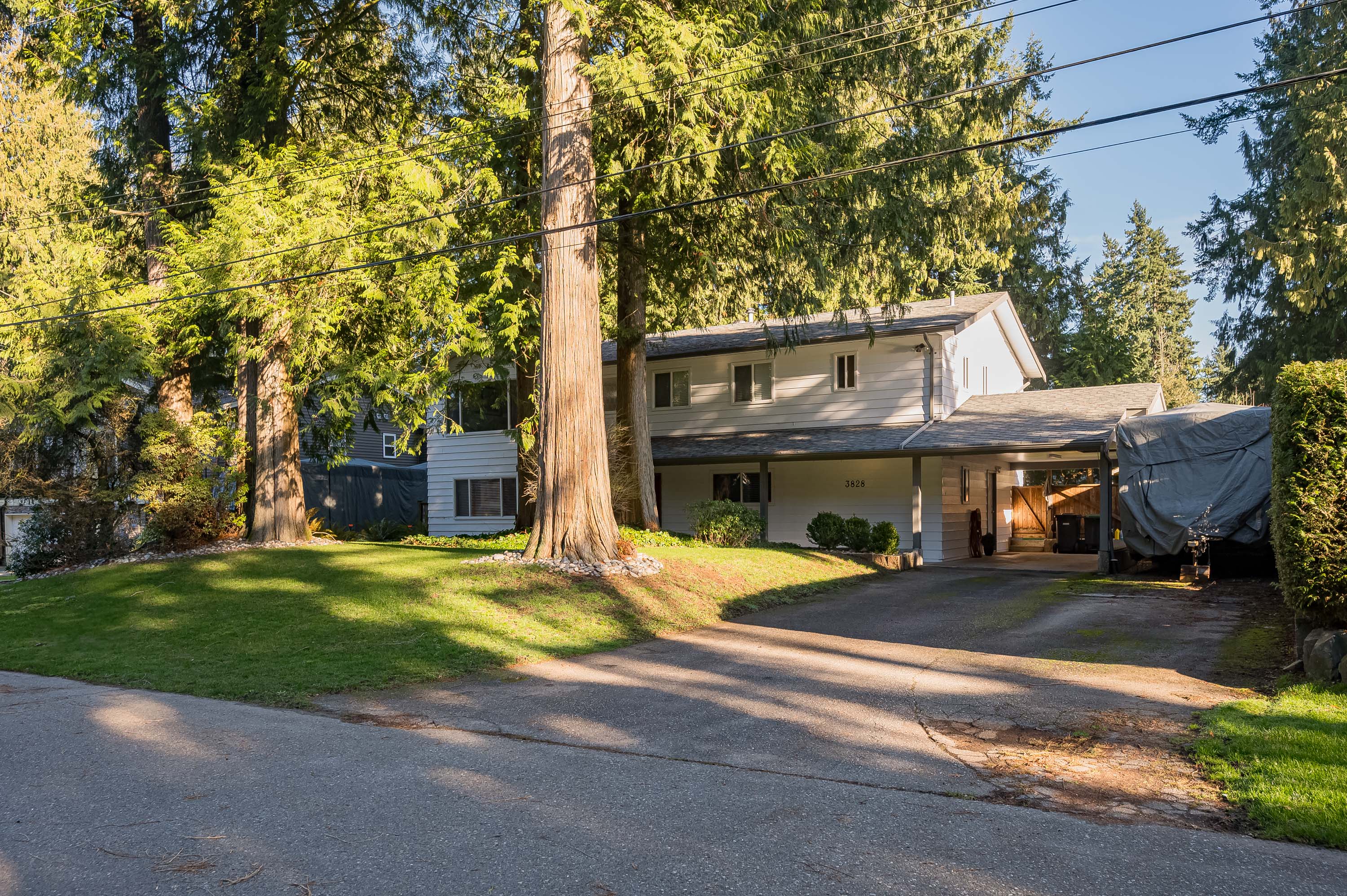 3828 201 Street, Langley