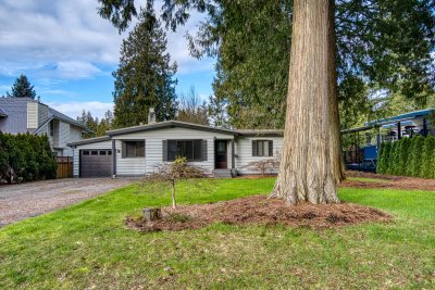 Virtual tour for Tamara Baltic