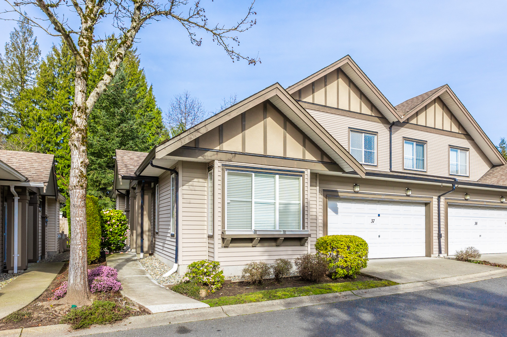 37 - 15868 85 Avenue, Surrey
