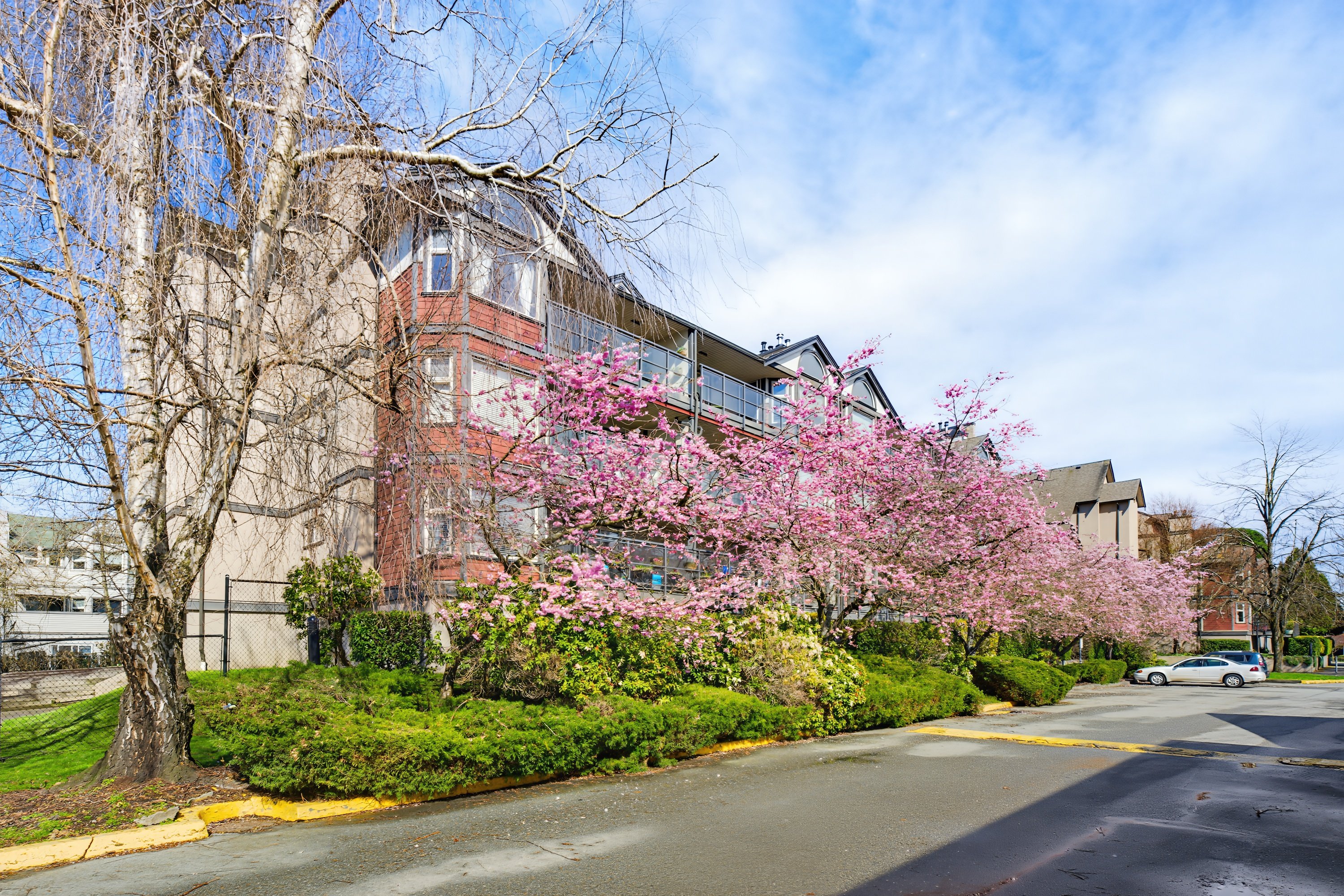 D205 - 4845 53 Street, Ladner