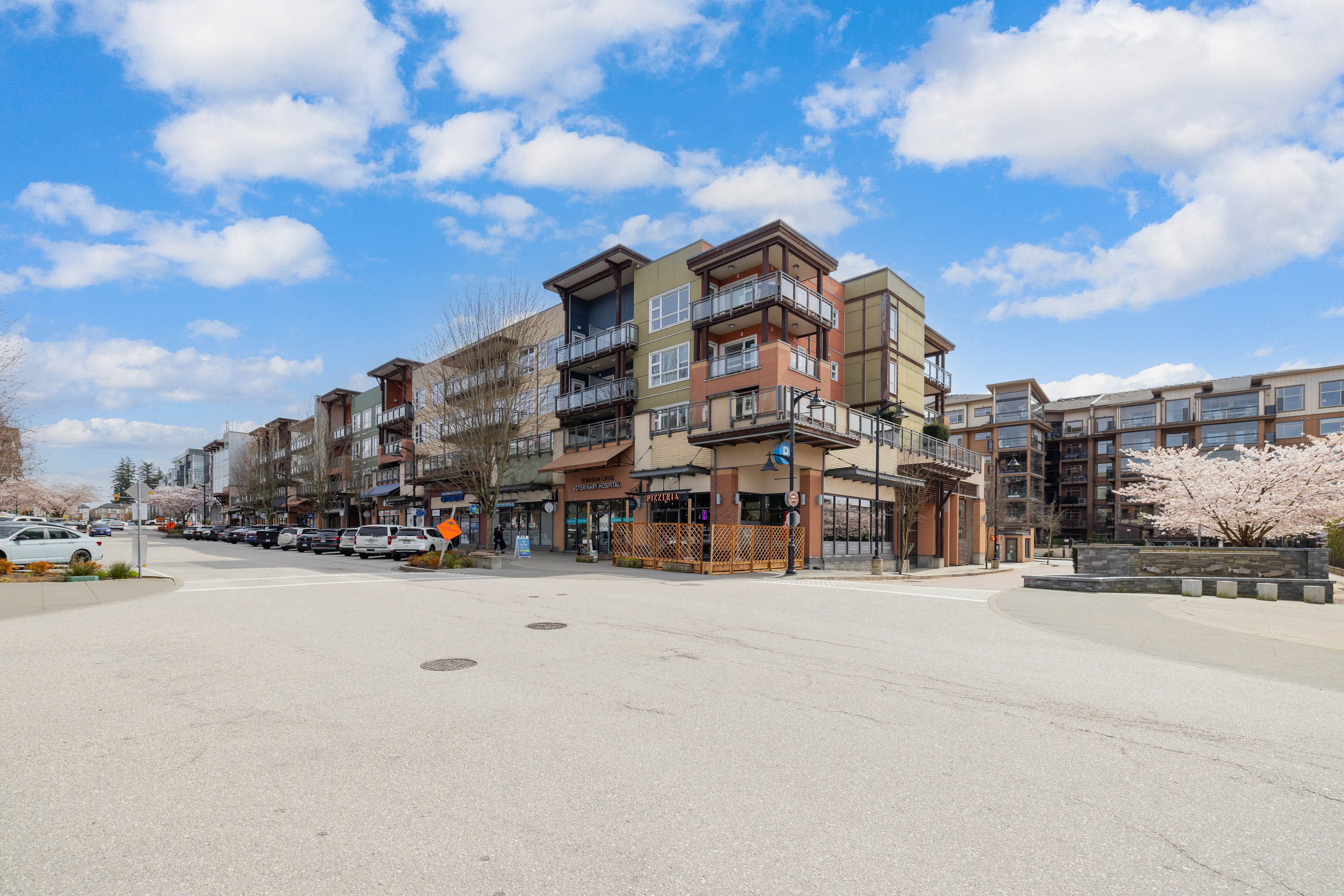 316 - 20728 Willoughby Town Centre Drive, Langley