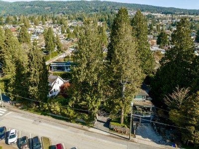 Virtual tour for Margot Miller