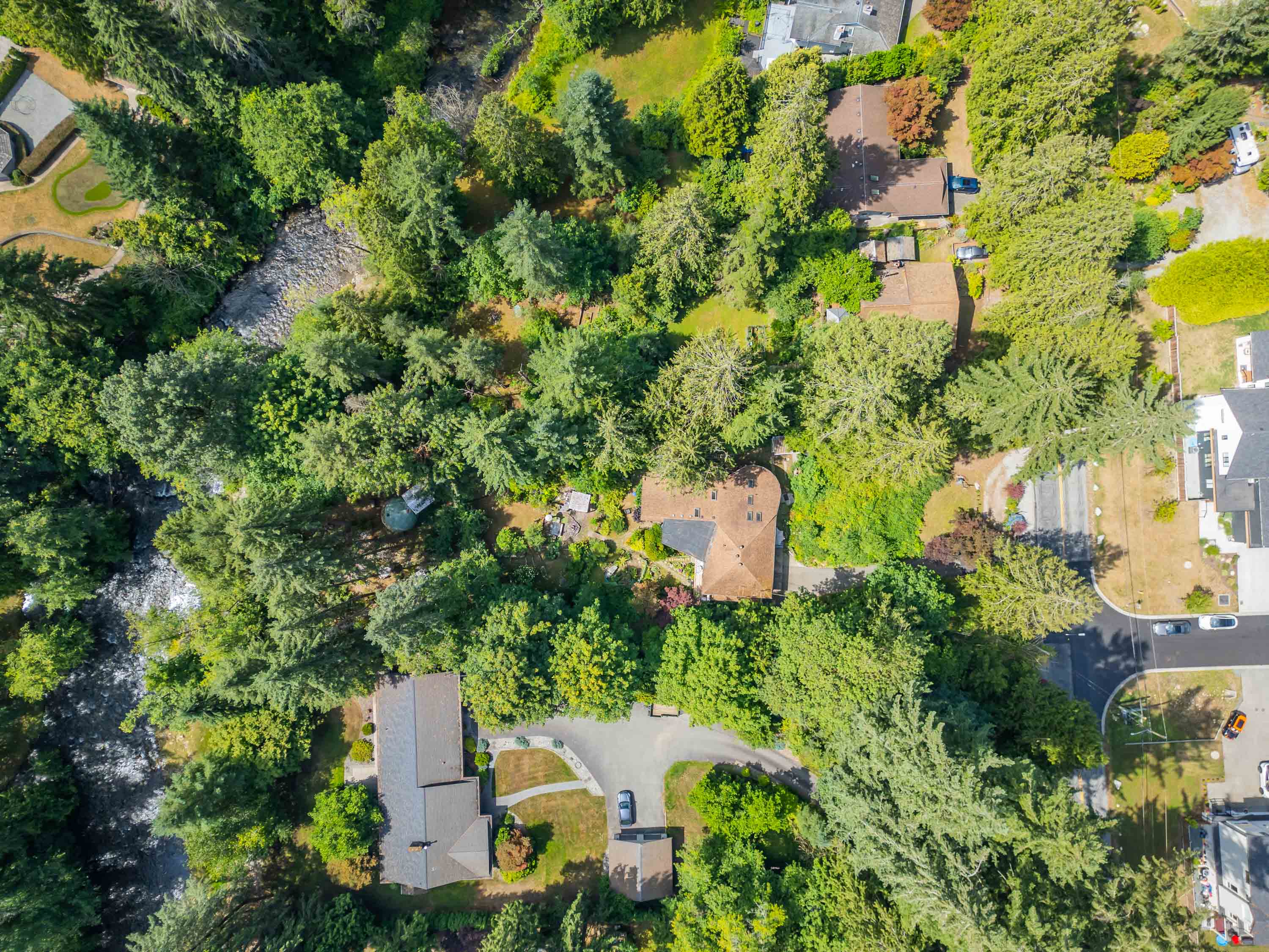 23942 Fern Crescent, Maple Ridge