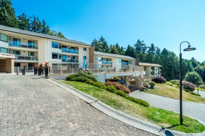 Virtual tour for Yvonne Bayer-Cheung