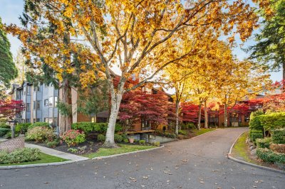 Virtual tour for Wendy Randle